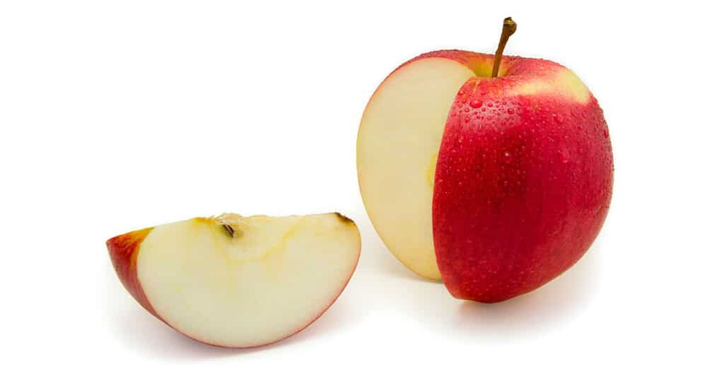 snack